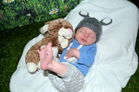 Newborn